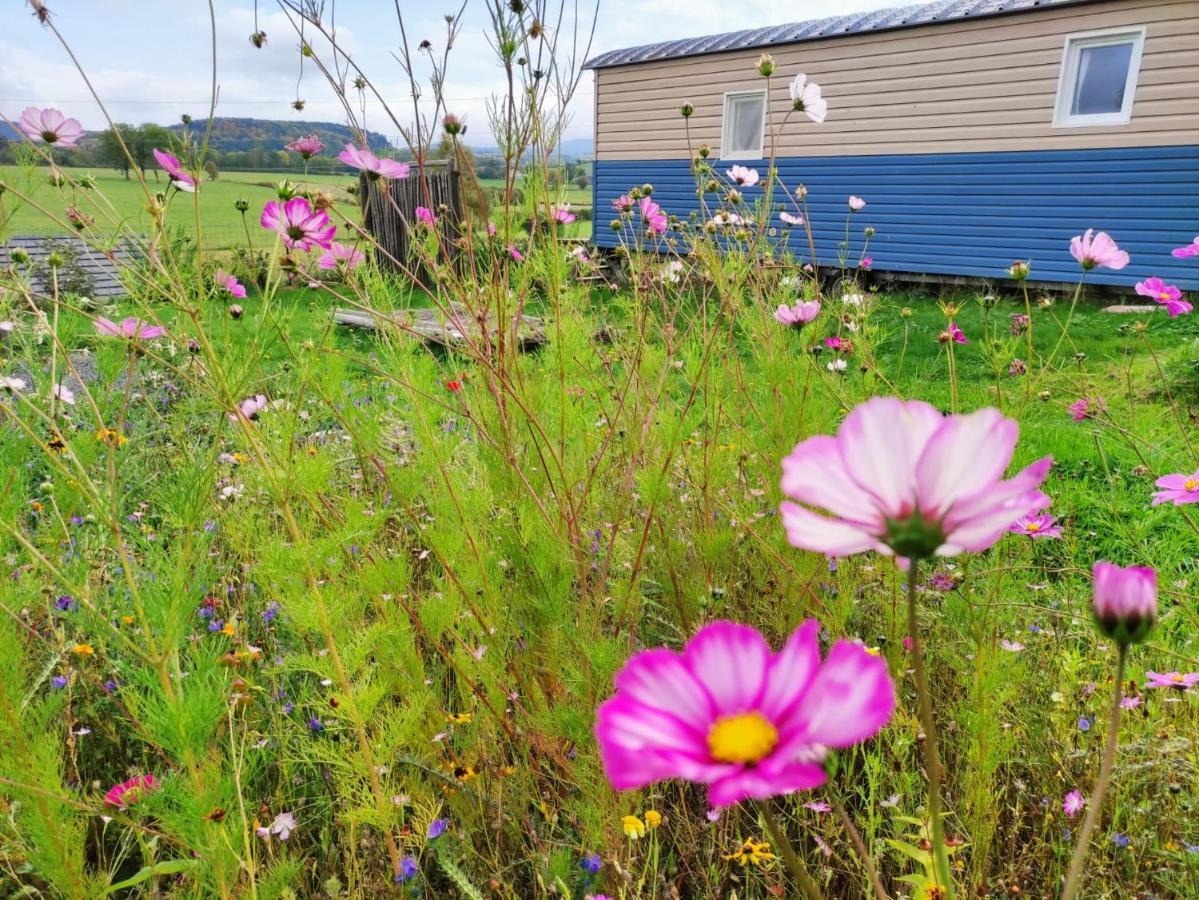 Logement Insolite Au Coeur De L'Auvergne Rochefort-Montagne Eksteriør billede